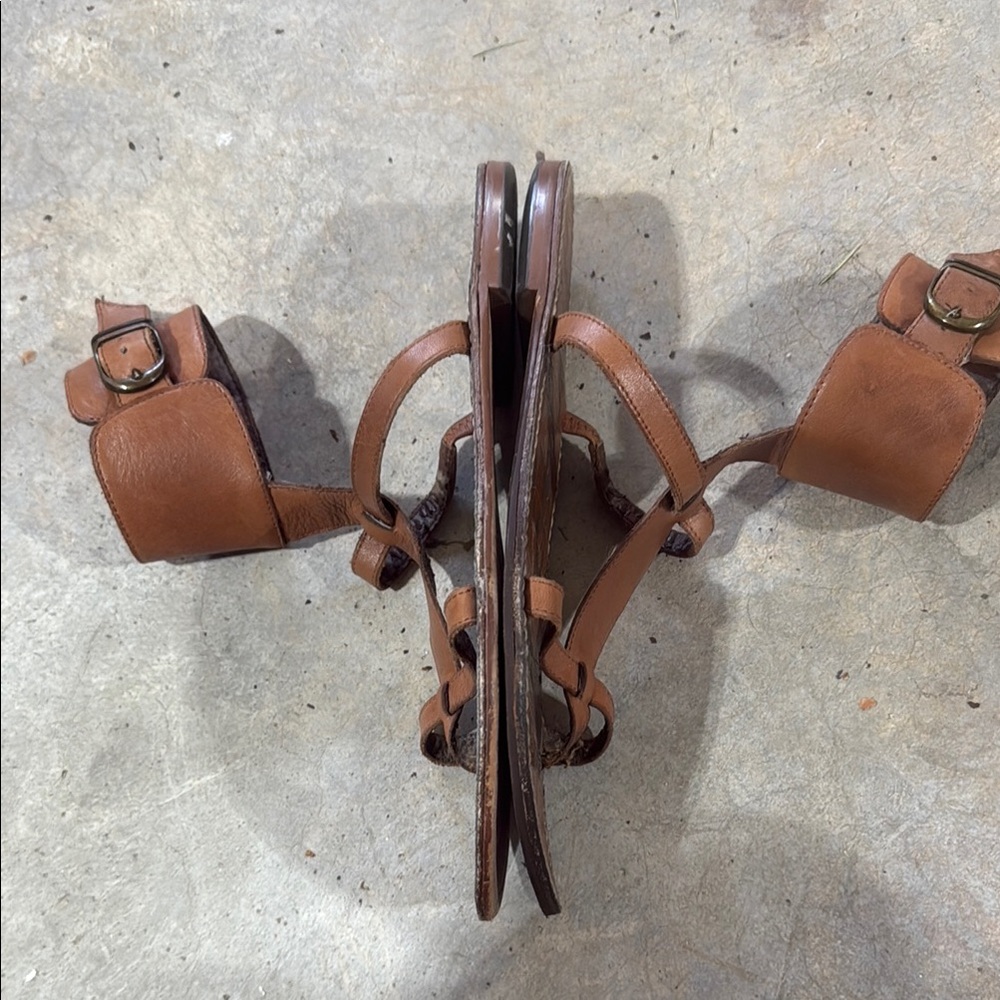 Sam Edelman Brown Gladiator Sandals - Picture 9 of 10
